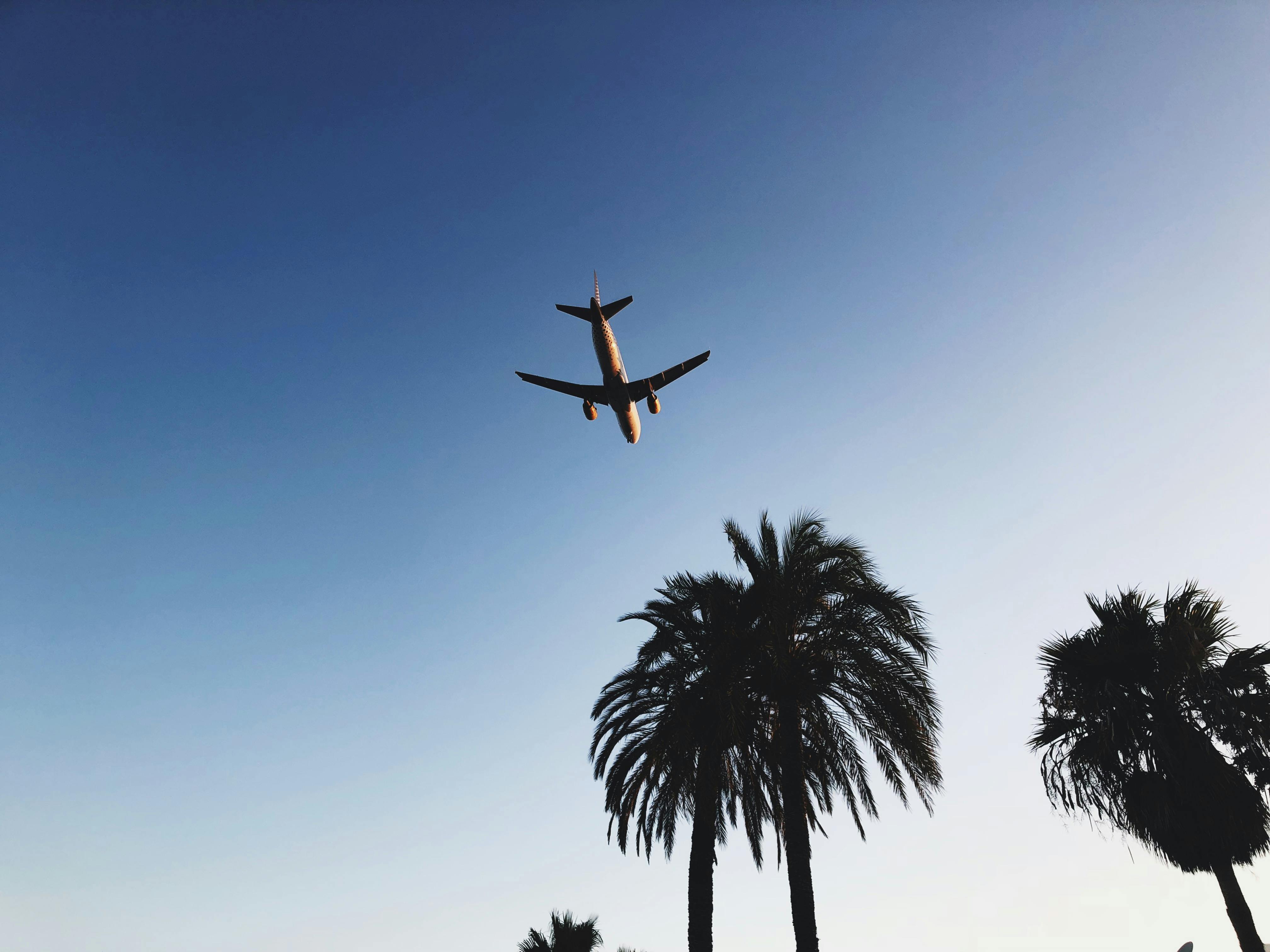 Moving to Spain - plane over palm trees